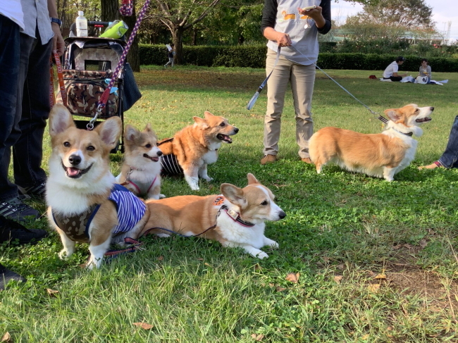’19年 10月ダイジェスト part2_e0071225_15512366.jpg