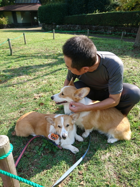 ’19年 10月ダイジェスト part2_e0071225_15514349.jpg