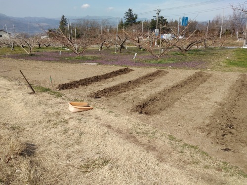 今日は子供達と農作業_f0325525_23152513.jpeg