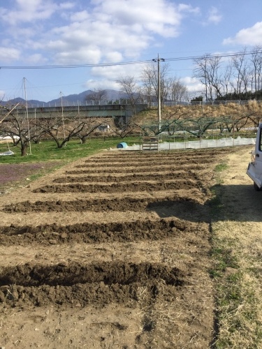 今日は子供達と農作業_f0325525_23154216.jpeg