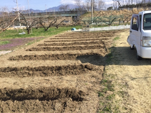 今日は子供達と農作業_f0325525_23161329.jpeg