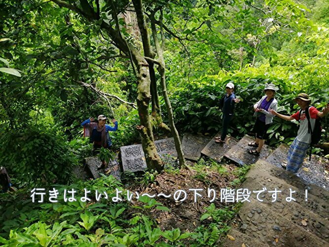 まるで水のカーテン　ブナンクランブの滝へ！_a0310535_22480132.jpg