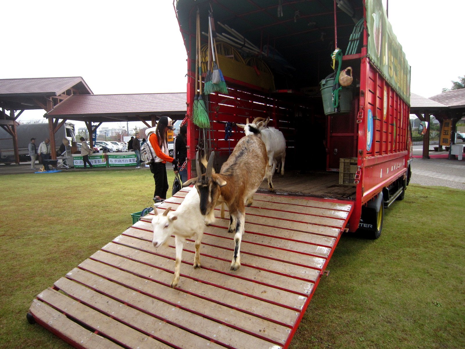 いちご動物園年間スケジュール_c0141652_11155542.jpg