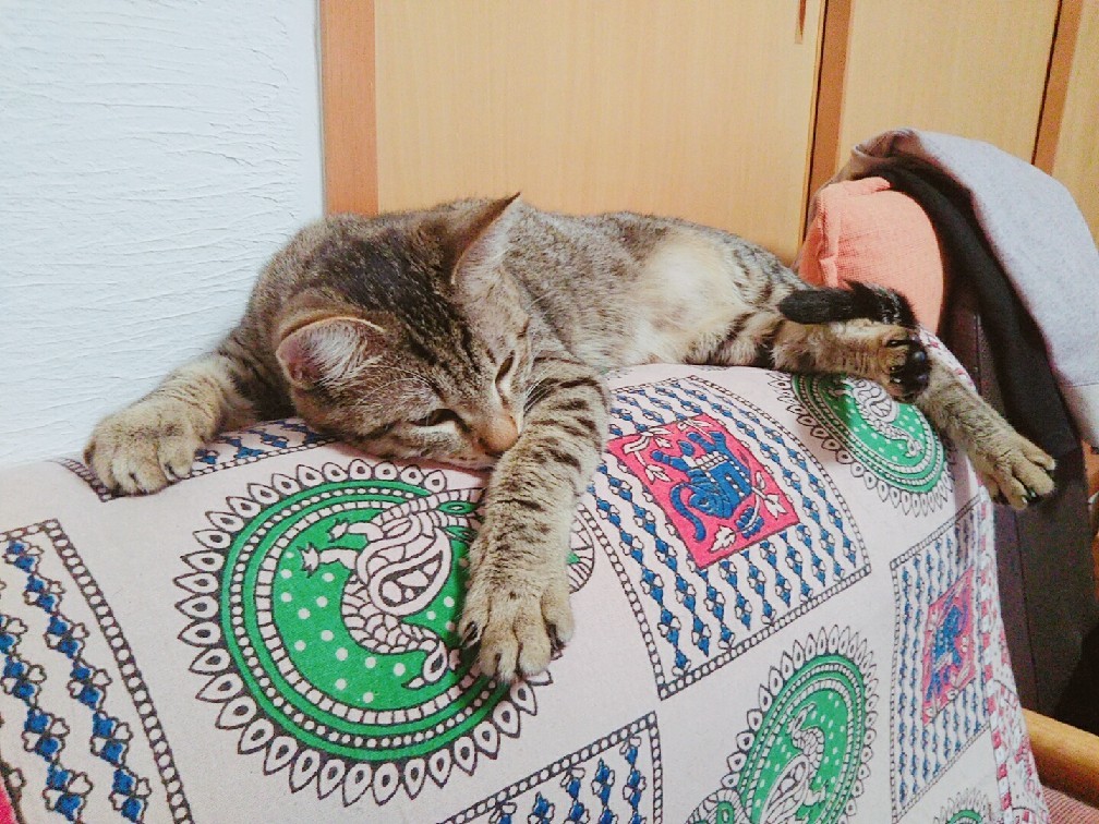 お疲れはぴちゃん なんくるないさ ワンッ