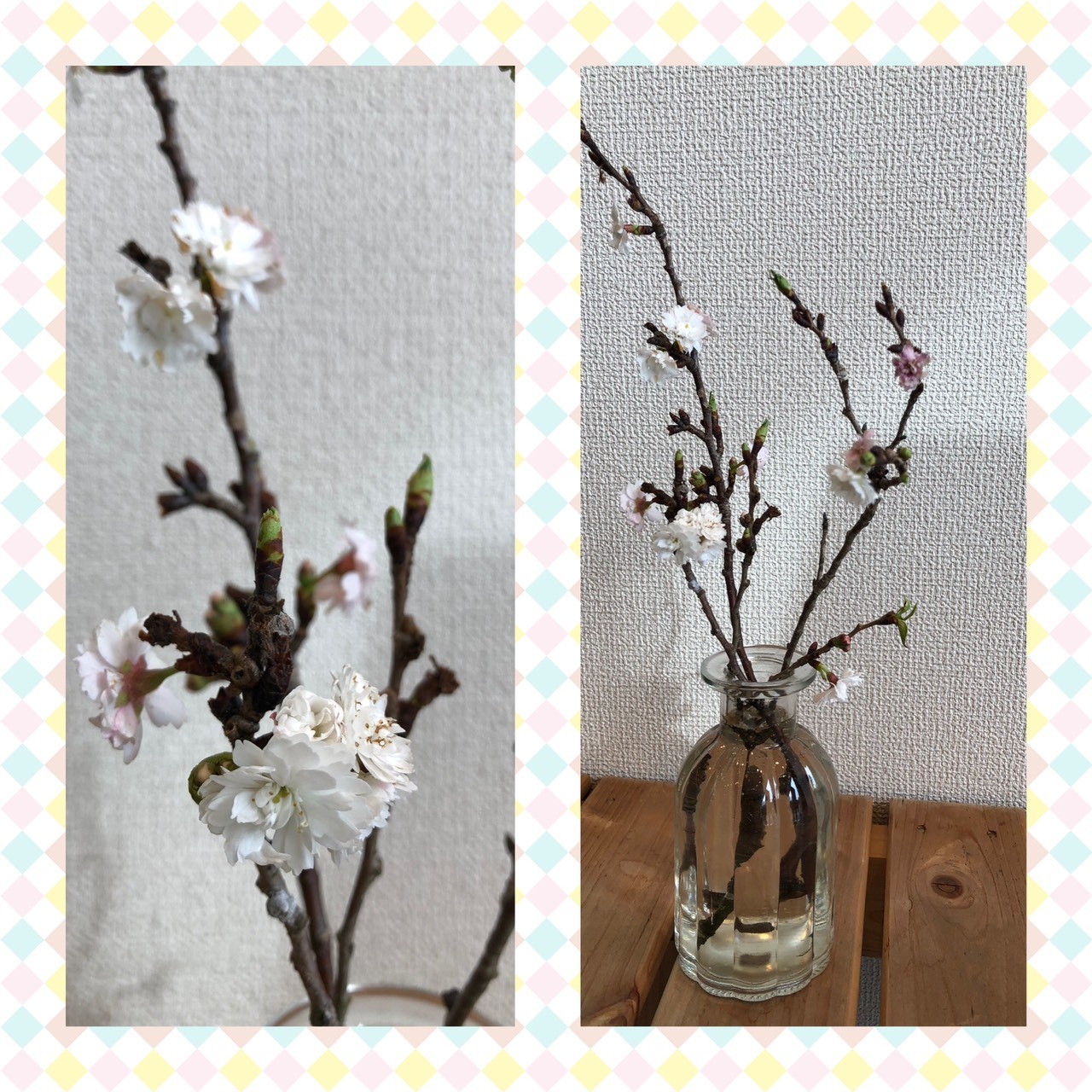 桜_b0328361_22141079.jpg