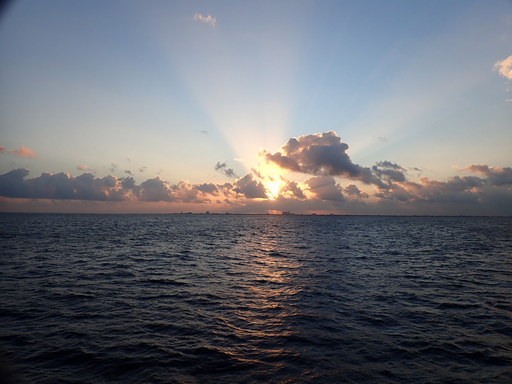 カリブ海の固有種はカラフルで可愛い コスメル島でダイビング Cancun Mexico たのしくいこぉ カリブ海の固有種はカラフルで可愛い コスメル島でダイビング Cancun Mexico たのしくいこぉ