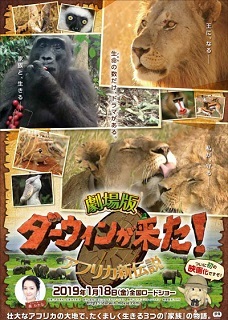 『ダーウィンが来た!/アフリカ新伝説』(2018)_e0033570_23221914.jpg