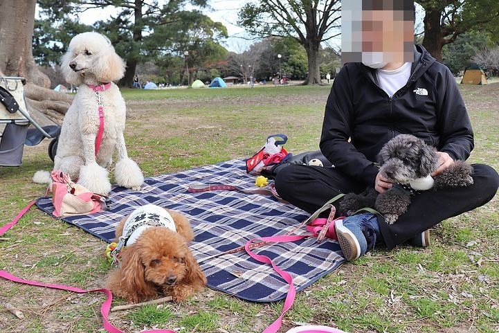 いつもの公園だけどいつもの公園じゃない感じ。_b0111376_15081078.jpg