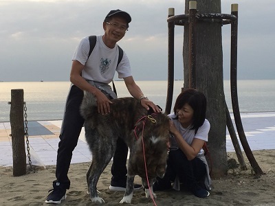 和歌山の海でボランティア&とらおくん~♪_e0123286_18514376.jpg