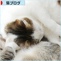 遺された猫_a0389088_17524722.jpg