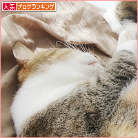 遺された猫_a0389088_17524757.jpg