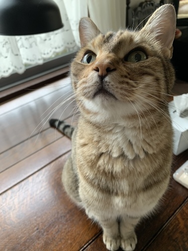 まだ続く_e0358096_20431951.jpeg
