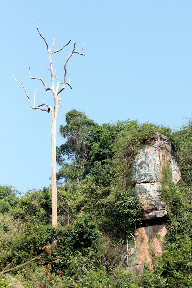クバルスピアン2, Kbal Spean クーレン山 -Siem Reap-2012-_d0011713_23581768.jpg