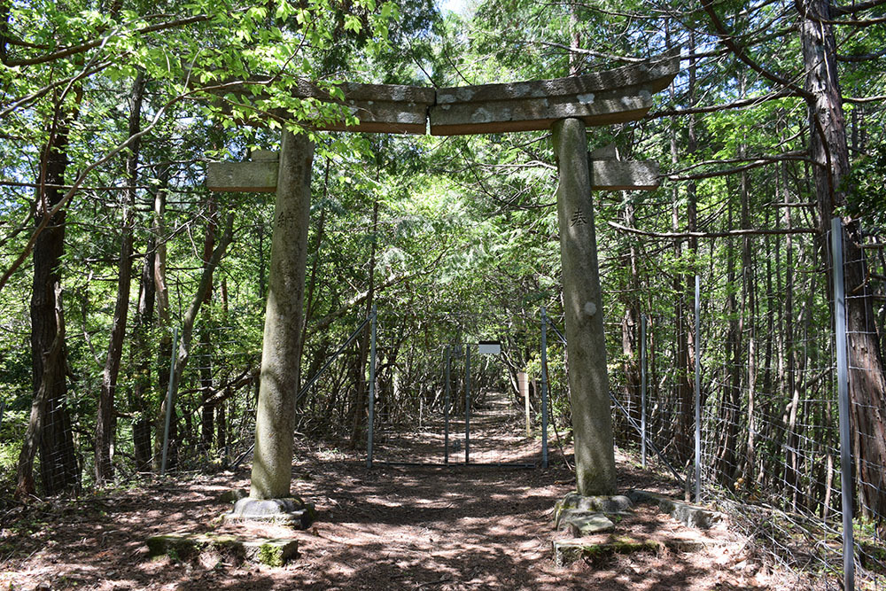 明智光秀が「丹波攻め」のために築いた丹波金山城。　その１　＜登山道＞_e0158128_14491954.jpg