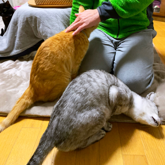 まだまだもじもじ。_d0355333_22495682.jpg