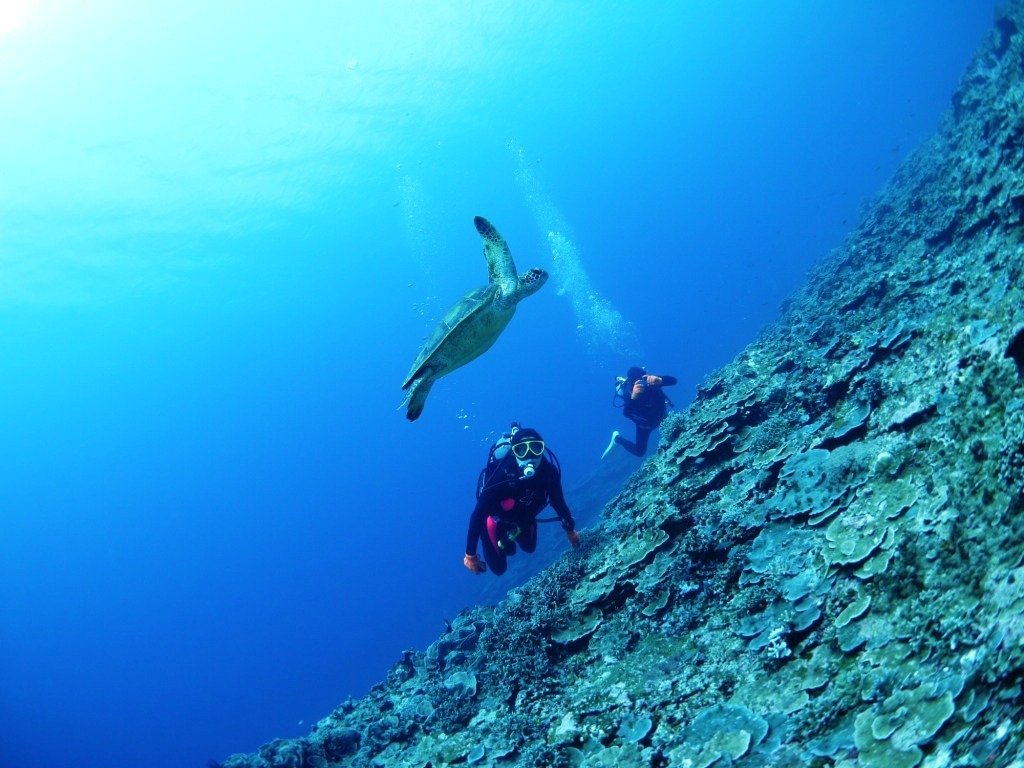 青い海は気持ちイイなぁ~♪_a0189838_14460051.jpg
