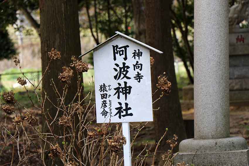 千葉・茨城「ちばらき」の旅-05♪阿波神社♪_d0058941_20342212.jpg