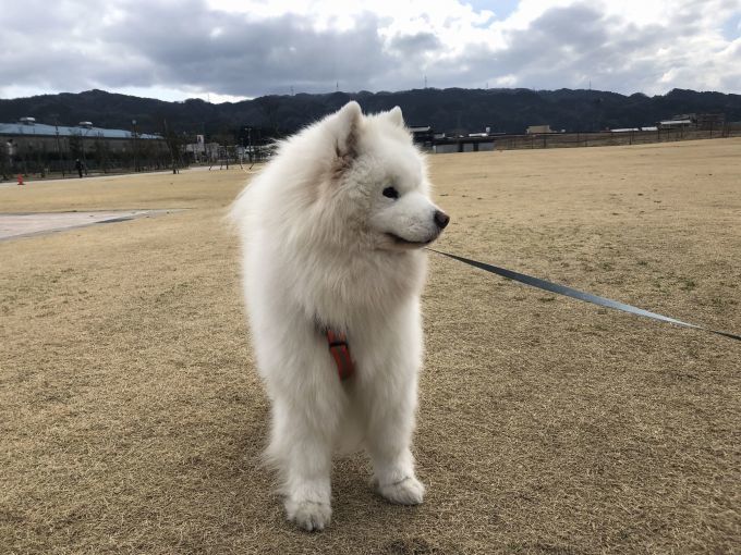 2020年冬 群馬~岐阜~石川県旅行 その3_f0128542_01530060.jpg