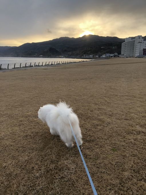 2020年冬 群馬~岐阜~石川県旅行 その3_f0128542_02154022.jpg