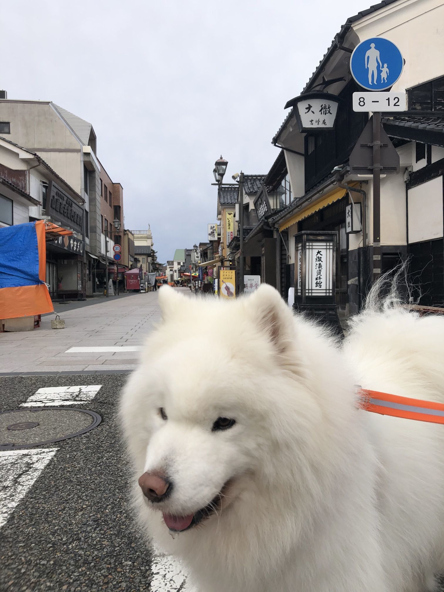 2020年冬 群馬~岐阜~石川県旅行 その3_f0128542_02181179.jpg