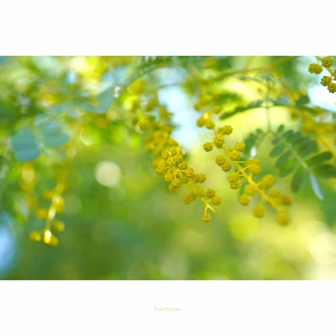*ご無沙汰しております( \' ▽ \' )*(令和2年3/10)_d0362666_16210926.jpg