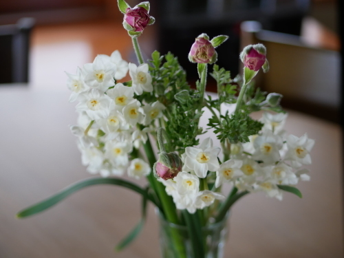 やっぱり野の花が好き_f0054677_08132966.jpeg