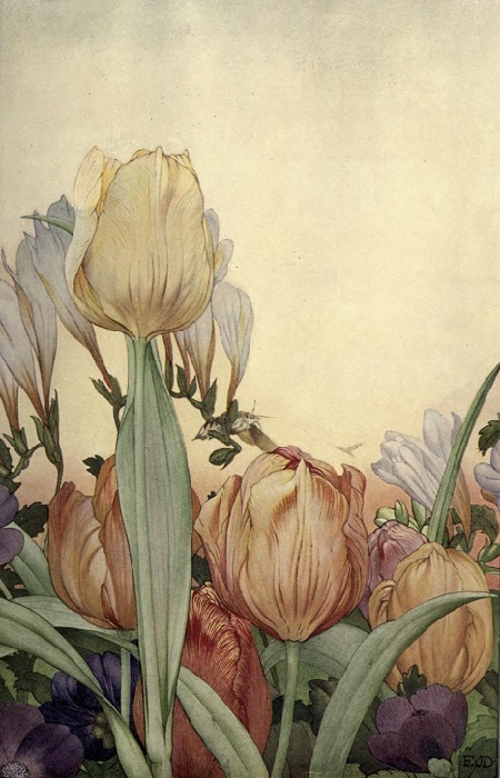 映画:Tulip Fever_c0084183_16460465.jpg