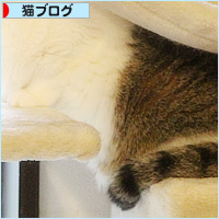 はみ肉_a0389088_11235728.jpg