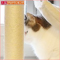 はみ肉_a0389088_11235787.jpg