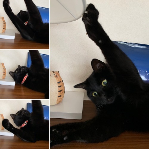 まだまだ続く_e0358096_18050219.jpeg