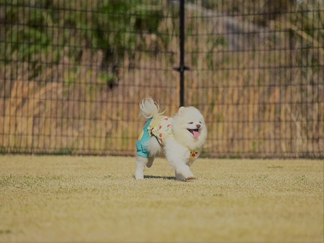 経過観察中_d0360206_00053022.jpg