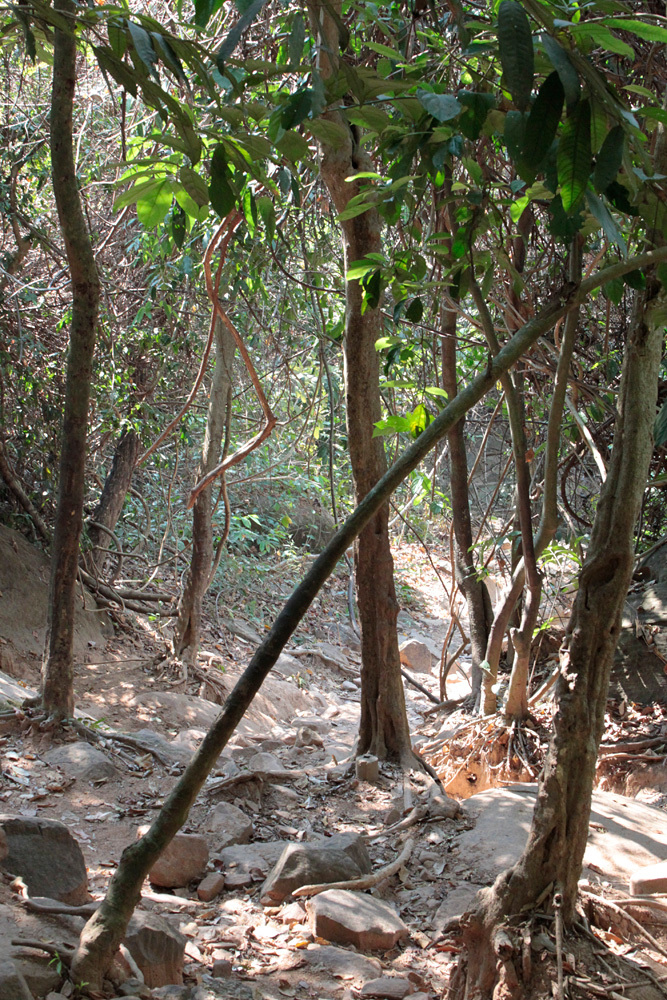 クバルスピアン3, Kbal Spean 源流へ -Siem Reap-2012-_d0011713_00352999.jpg