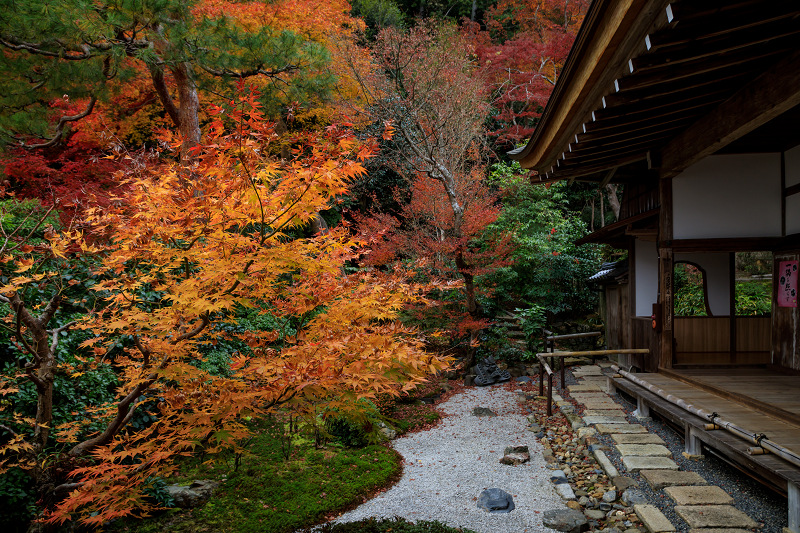 紅葉が彩る京都2019　二尊院・盛秋_f0155048_04862.jpg