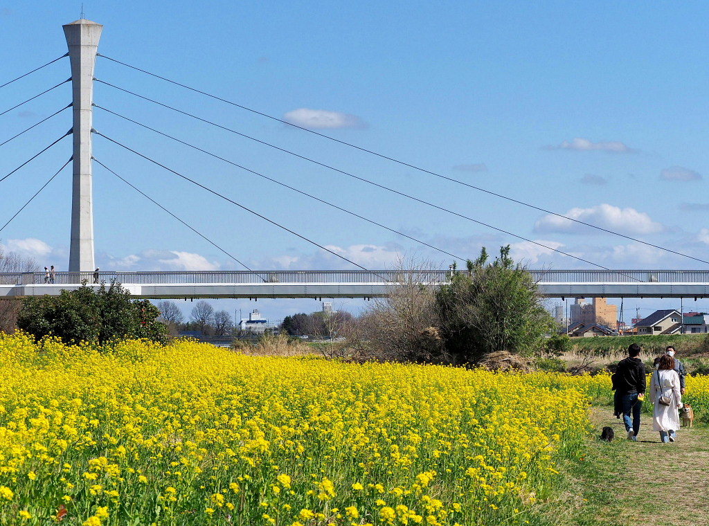 「ラブリバー親水公園うぬき」から 春の花_c0305565_17395410.jpg