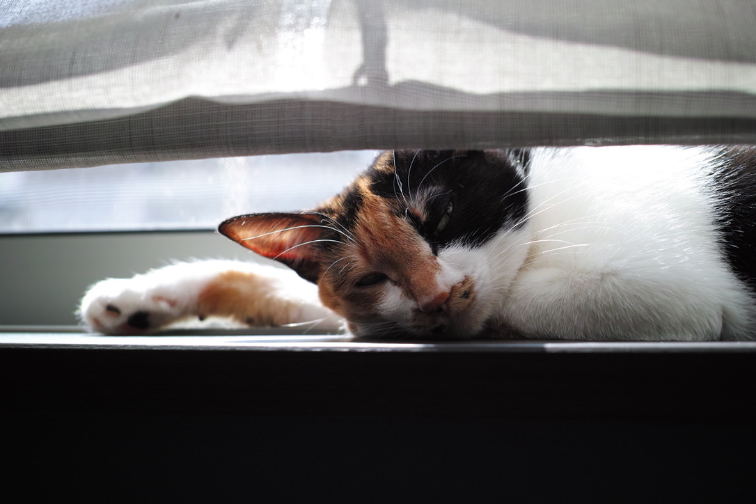 3/11。_b0016168_13211087.jpeg