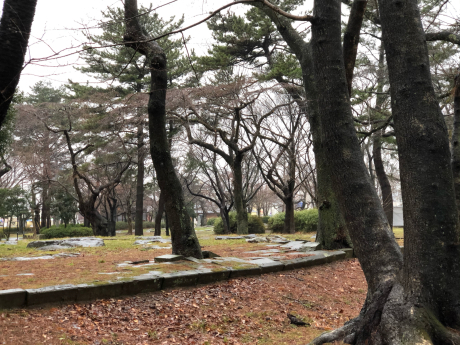 雨のお散歩_e0355177_13044515.jpg