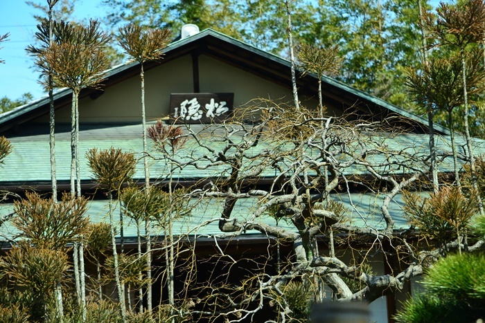 松花堂庭園 (Ⅰ) 苔と竹_a0240403_22041167.jpg