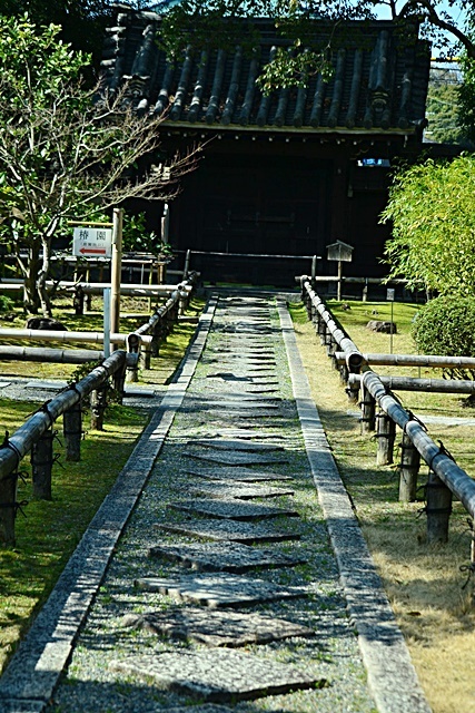 松花堂庭園 (Ⅰ) 苔と竹_a0240403_22050180.jpg
