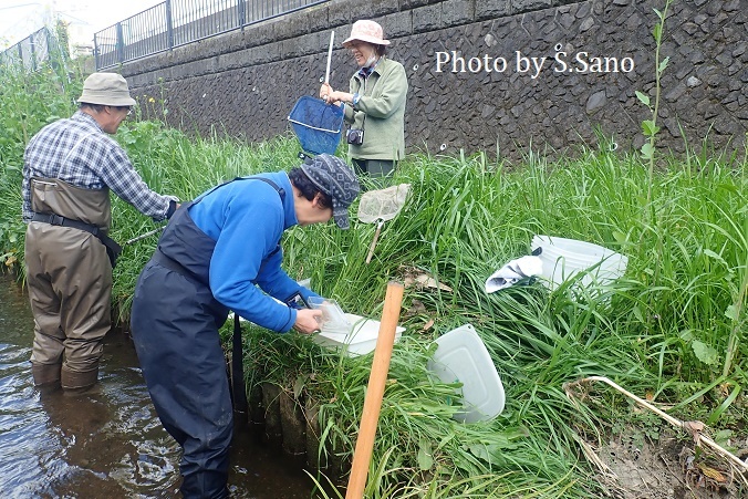 引地川流域めぐり(2020年3月)_b0348205_17171690.jpg