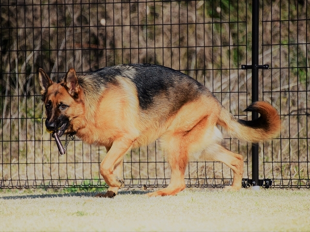 繰り返し、繰り返し_d0360206_01153322.jpg