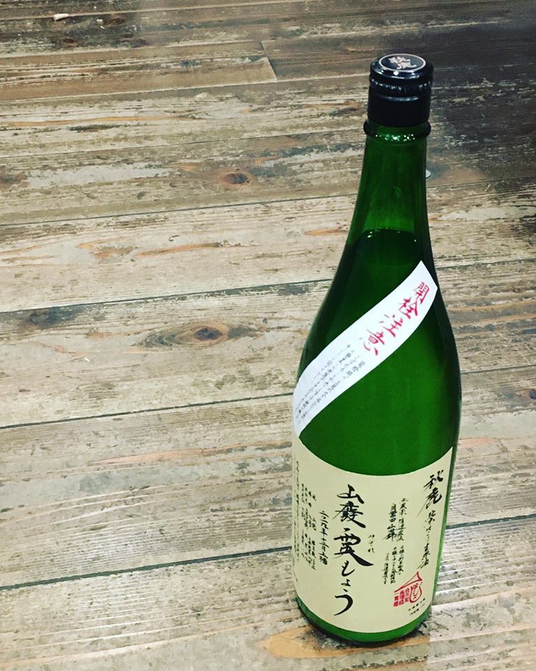 光栄菊スノウクレセント 春_d0367608_09255394.jpg