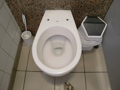 【ジョーク一発】武漢コロナウィルスの感染源はトイレにあった!?→トイレ事情の悪い国ほど感染者が多い!?_a0386130_18120083.gif