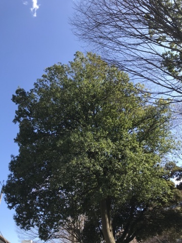 3月11日 春と冬_a0317236_07191100.jpeg