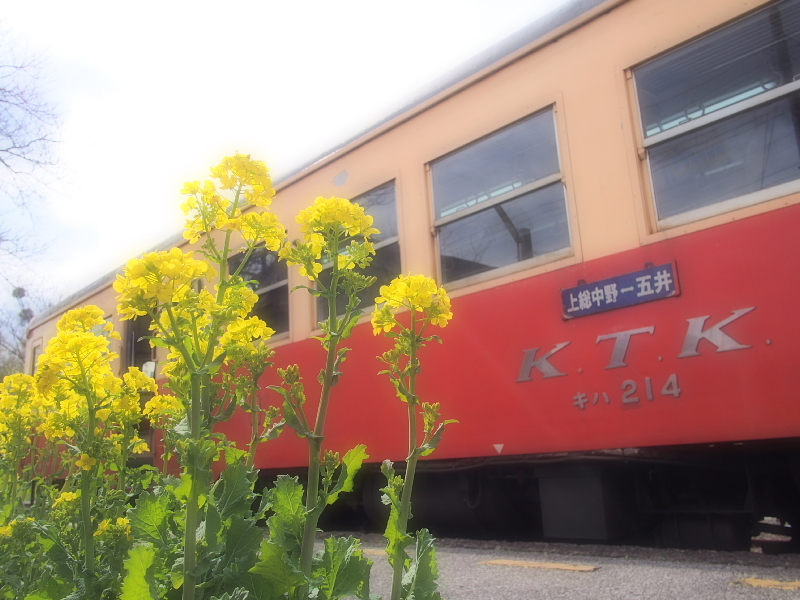 【Photo日記】菜の花と梅 ～早春の小湊鐵道 ①  往路編_b0008655_09165367.jpg