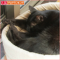 ノロの脅威_a0389088_17172932.jpg
