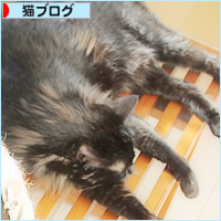 ノロの脅威_a0389088_17172956.jpg