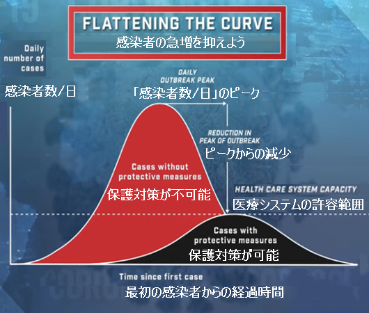 わかりやすいイメージ図 Flattering The Curve 新型コロナウィルス感染者の急増を抑えよう ニューヨークの遊び方