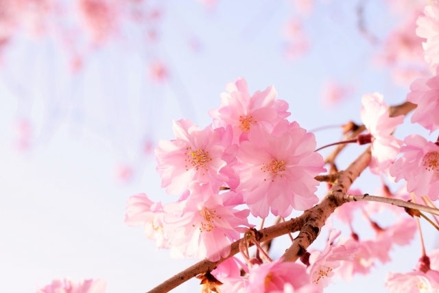 自分が生きる意味 あります キッパリ ワクワクするときは 思いっきり踏み出してみる スピリチュアルカウンセリング ヒーリング こころ が輝くまで 自分が生きる意味 あります キッパリ ワクワクするときは 思いっきり踏み出してみる スピリチュアルカウンセリング ヒーリング こころ が輝くまで