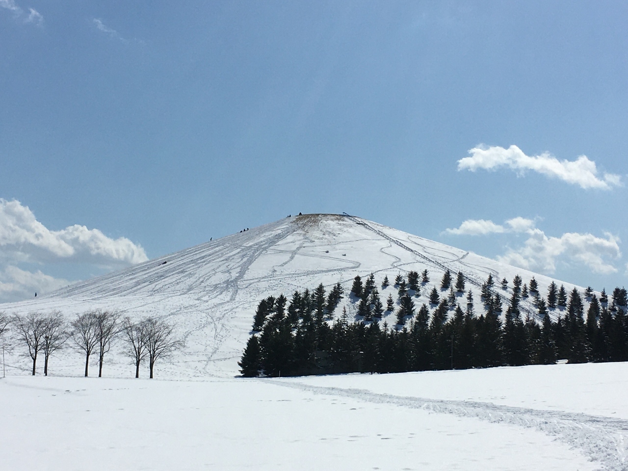 「感染列島」と「復活の日」_e0326953_18455863.jpg