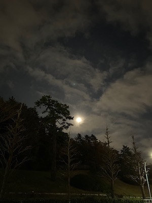 空は生きています_c0113755_16400613.jpeg